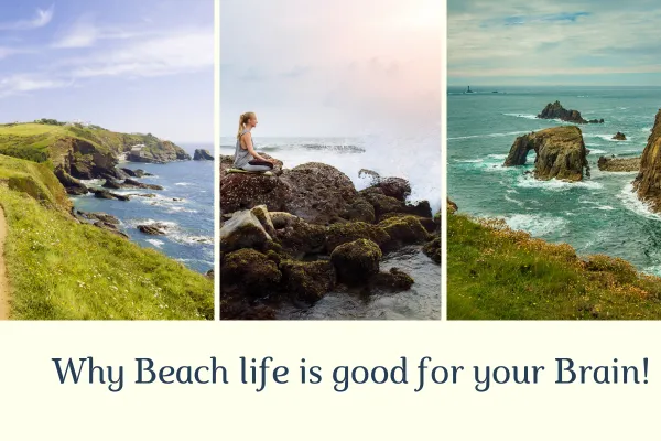 beach life
