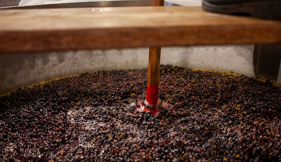 Alexana Winery