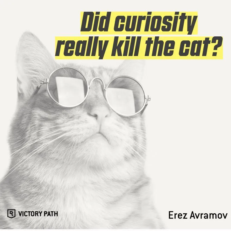Curiosity kill Cat
