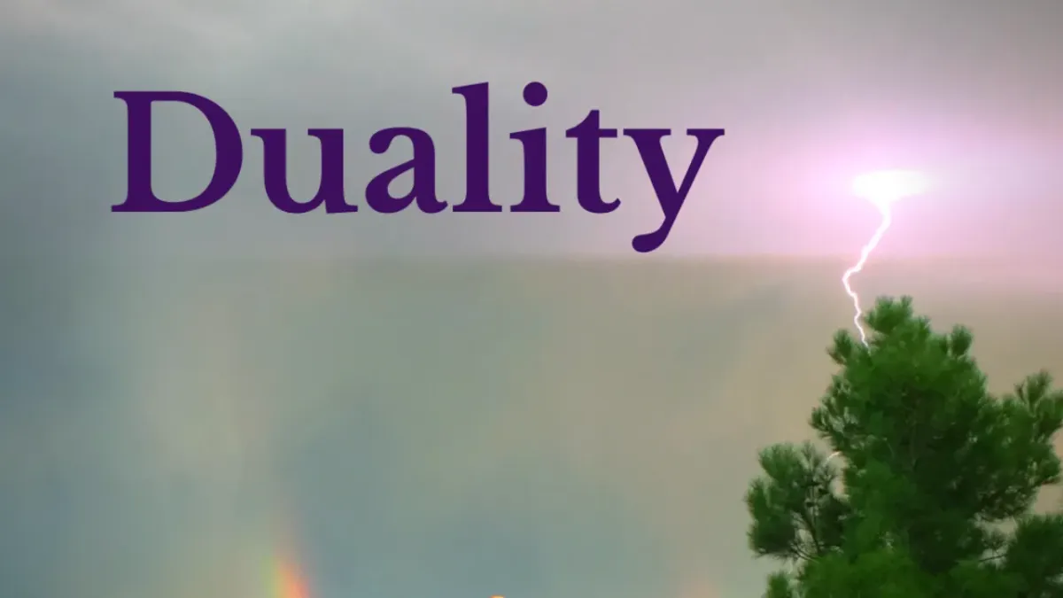 Duality