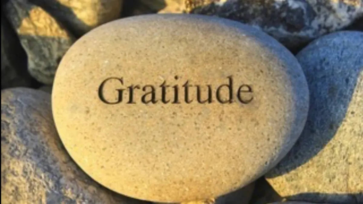 Gratitude