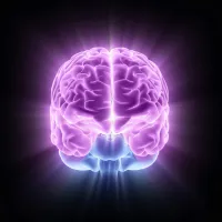 Mind Body