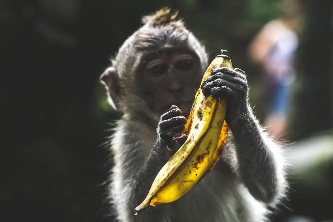 Why Paid Marketing Won’t Save a Weak Digital Presence