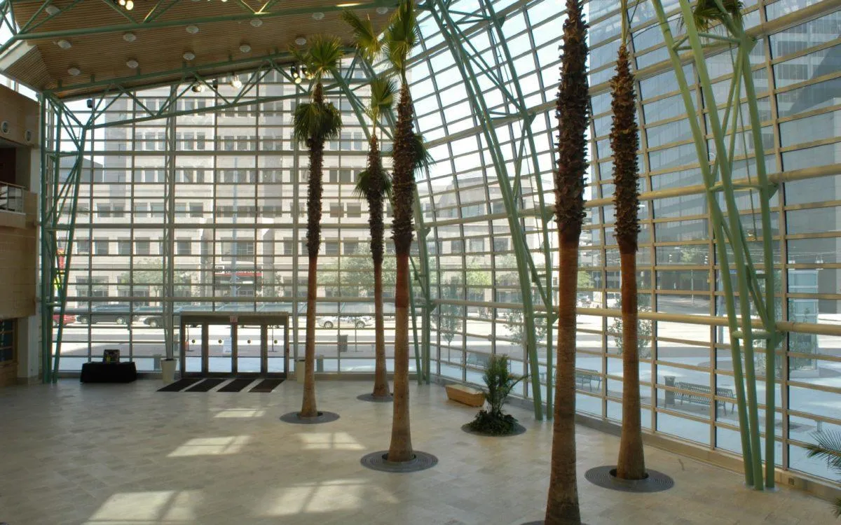 Step Into the Magic: Discover the Wintergarden Atrium at the Benjamin & Marian Schuster Center in Dayton