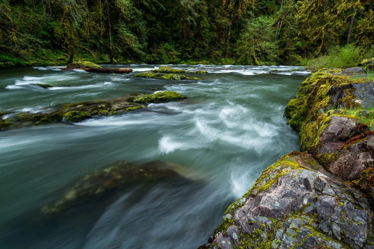 Portland's Best Natural Pools and Lakes