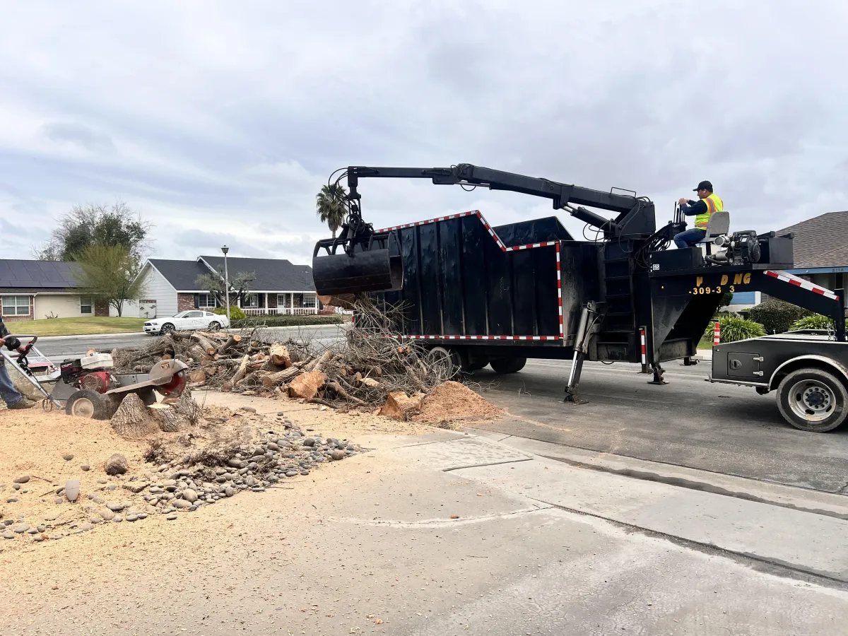 tree removal in bakersfield