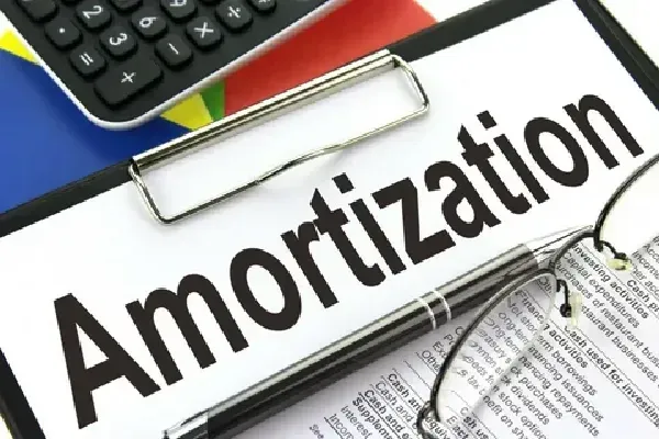 Home Loans and Negative Amortization