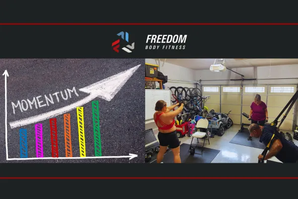 Momentum and Motivation
