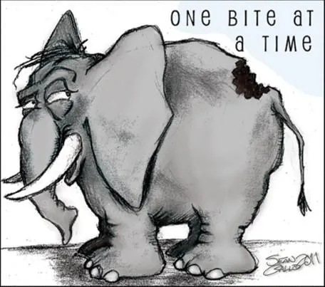 elephant in the room