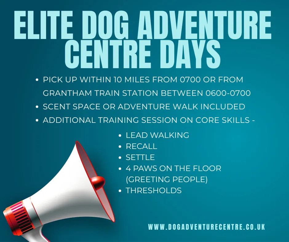 Dog Adventure Centre Elite Days