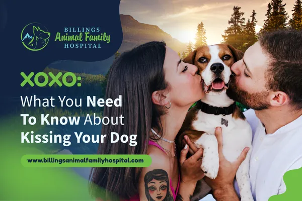 dog in between two people kissing it on the cheek