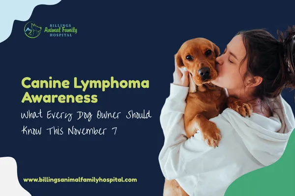 Canine Lymphoma Awareness | Billings Animal Family Hospital