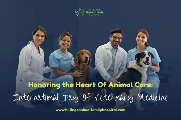 Celebrating International Day of Veterinary Medicine