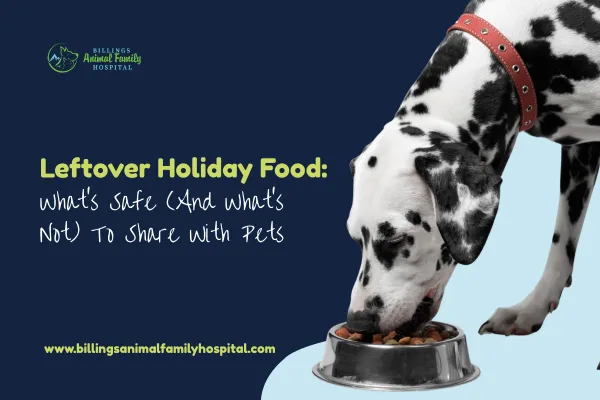 Leftover Holiday Food: Safe And Unsafe Food To Share With Pets