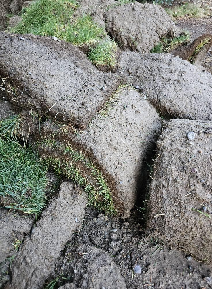 Laying Sod