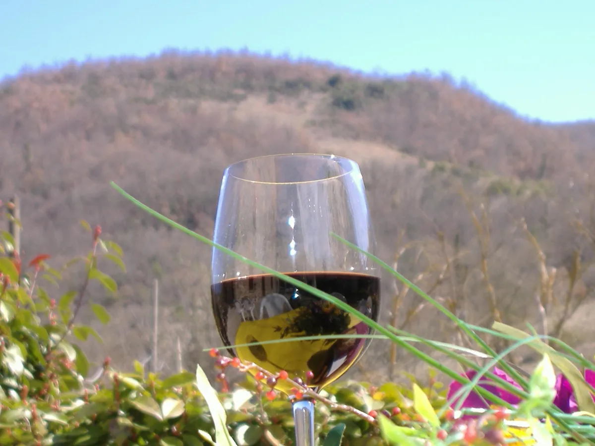 Top 4 Umbrian wines to drink absolutely!!!