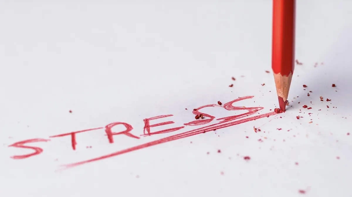 Menopause and Stress – Why It Feels Like Too Much