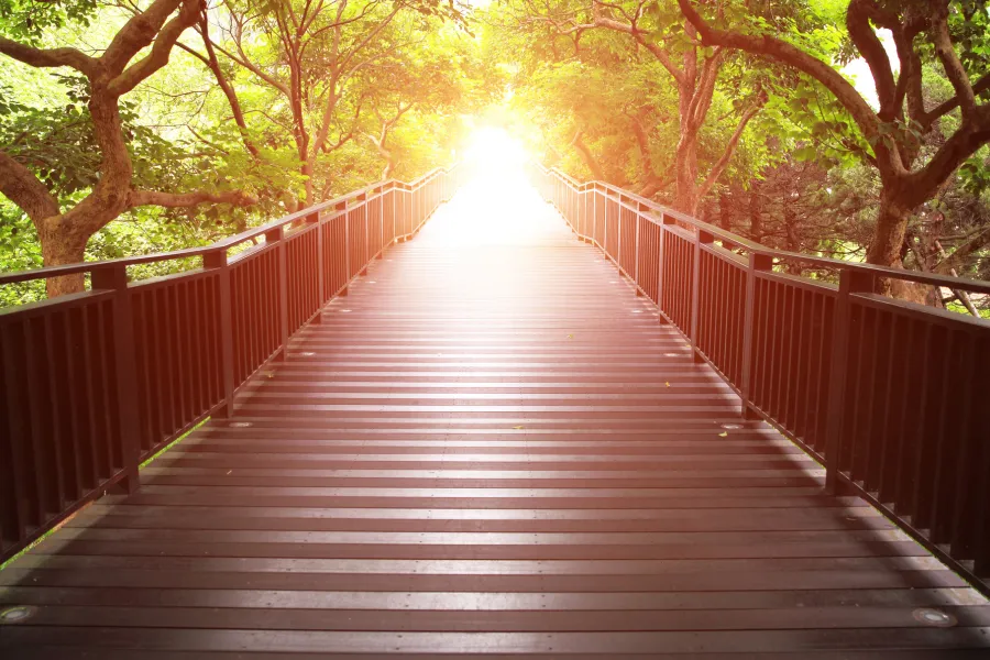 Alignment: The Missing Link Between Who You Are and How You Live