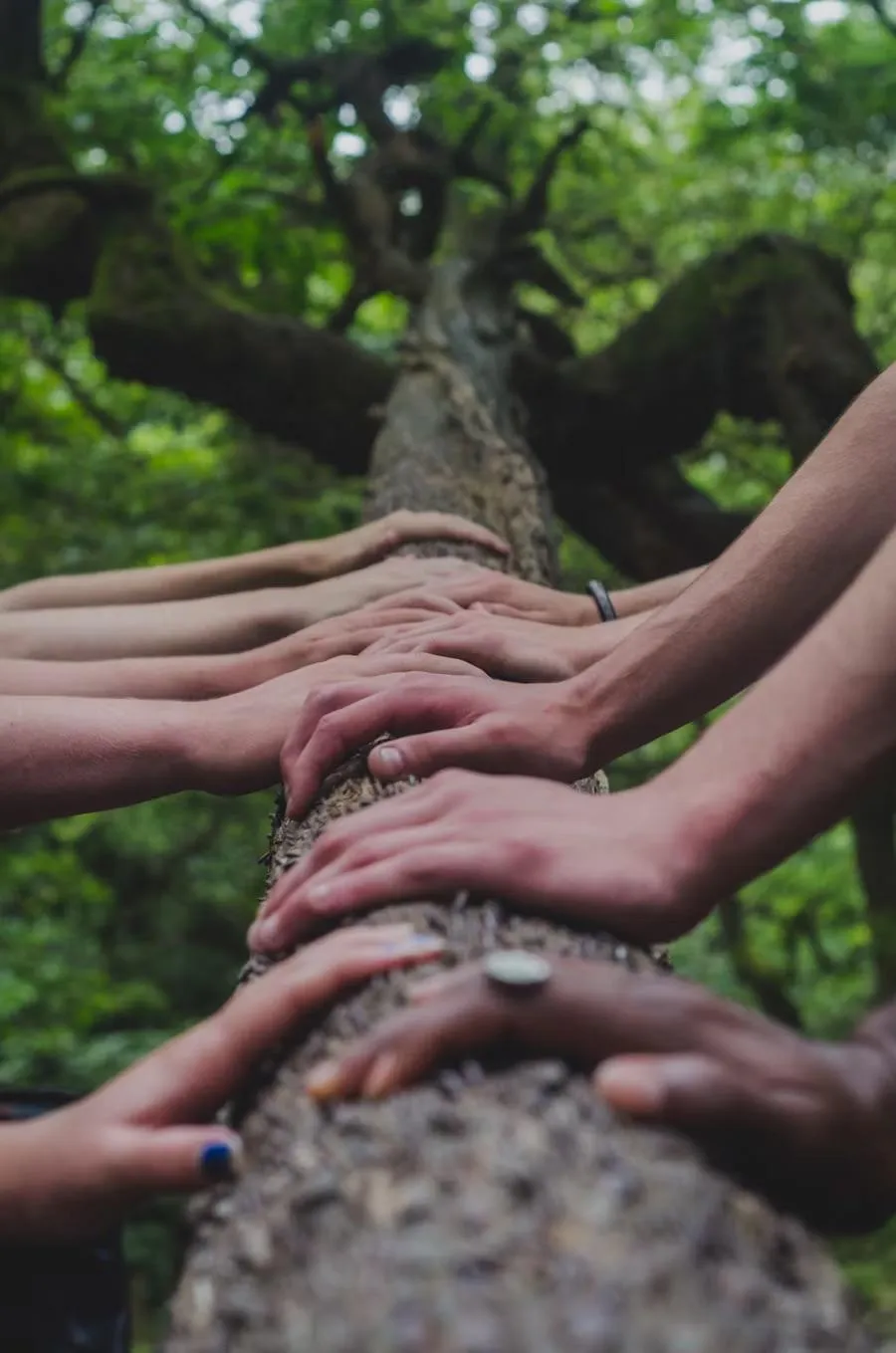 Shared Purpose