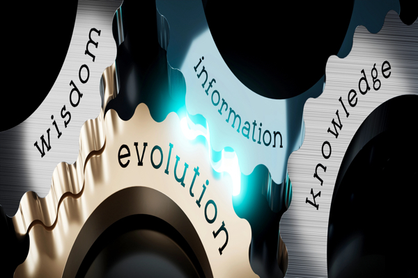 Why I Believe In Human Evolution