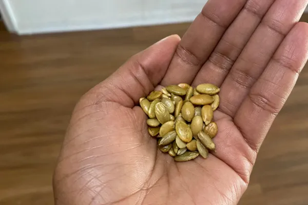 The One Seed That Supports Hormones, Sleep, Skin & Strength