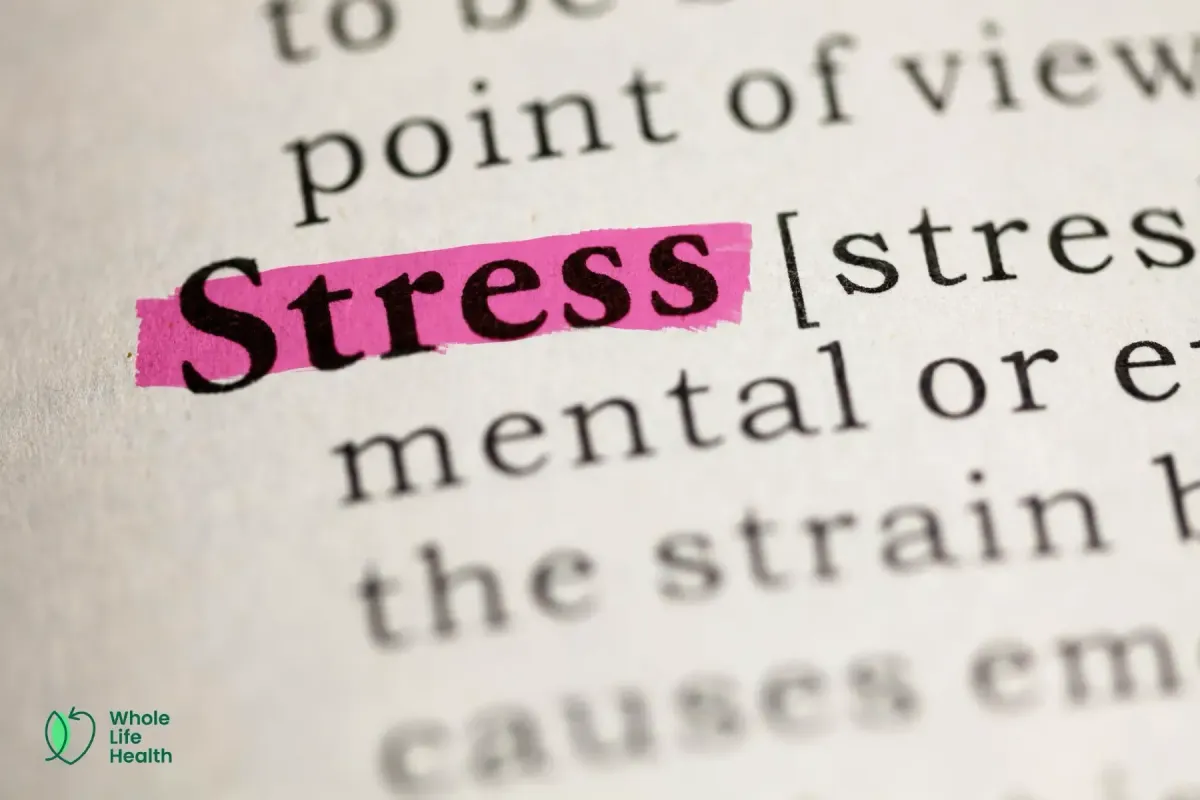 How Small Stresses Build Big Resilience (The Truth About Hormesis)