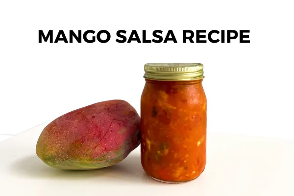 salsa recipe