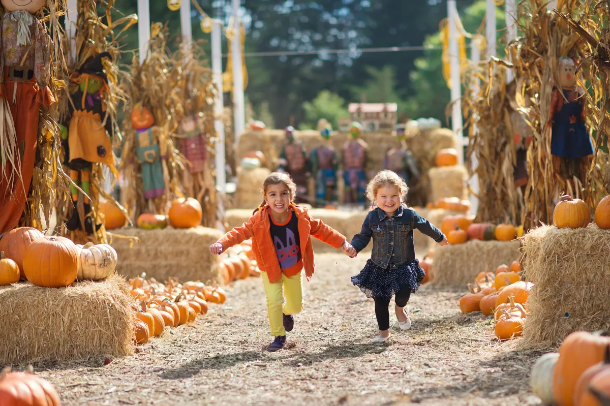 Pumpkin Patches, Mazes & Farm Magic