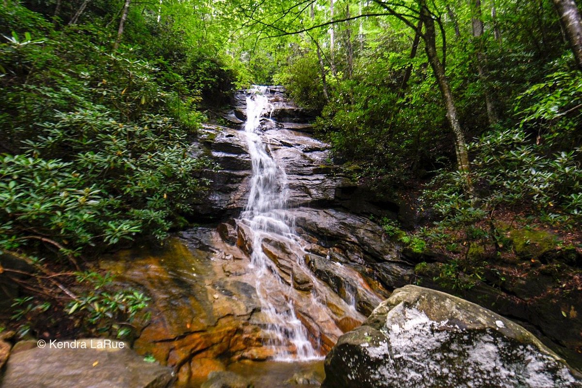 Discover Greenville County’s Wild Side: A Guide to the Best State Parks