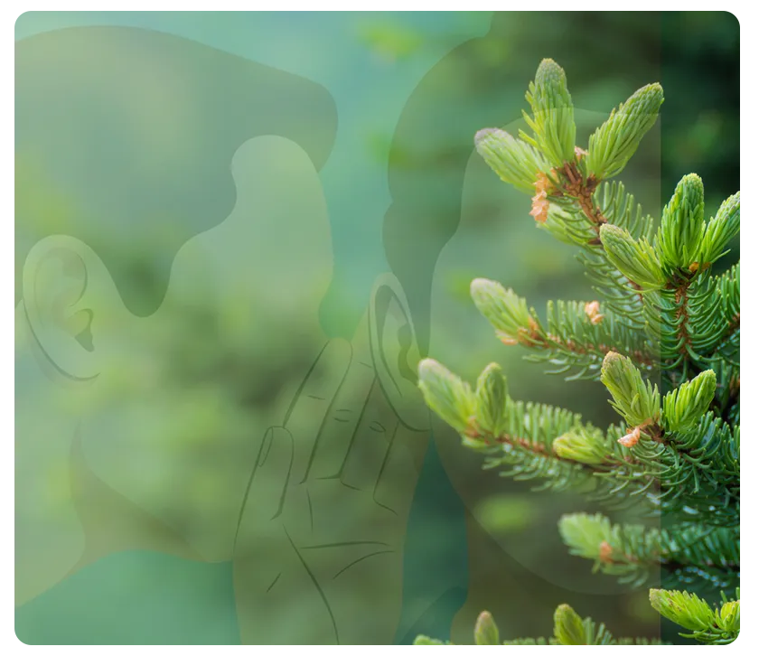 The Evergreen Secrets Behind High-Performing Direct Mail
