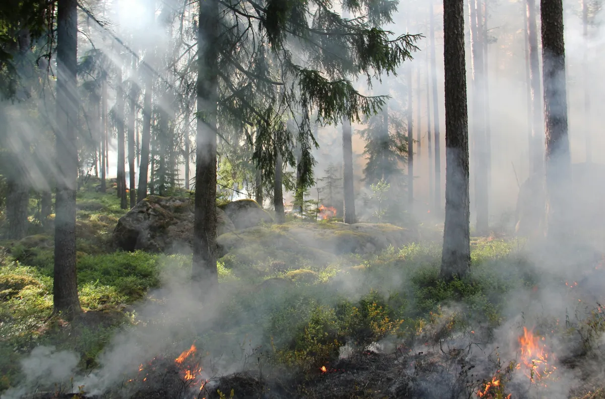 Wildfire Preparedness