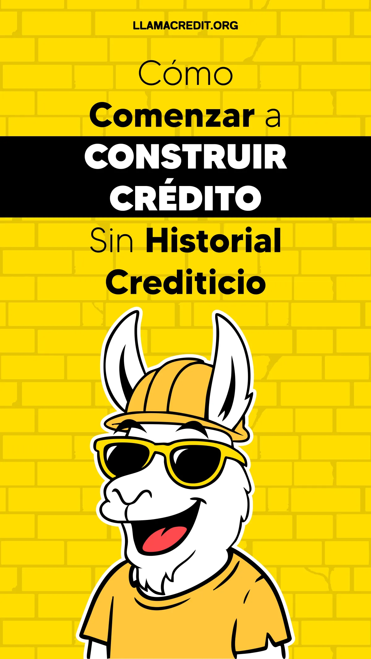 llama credit 25
