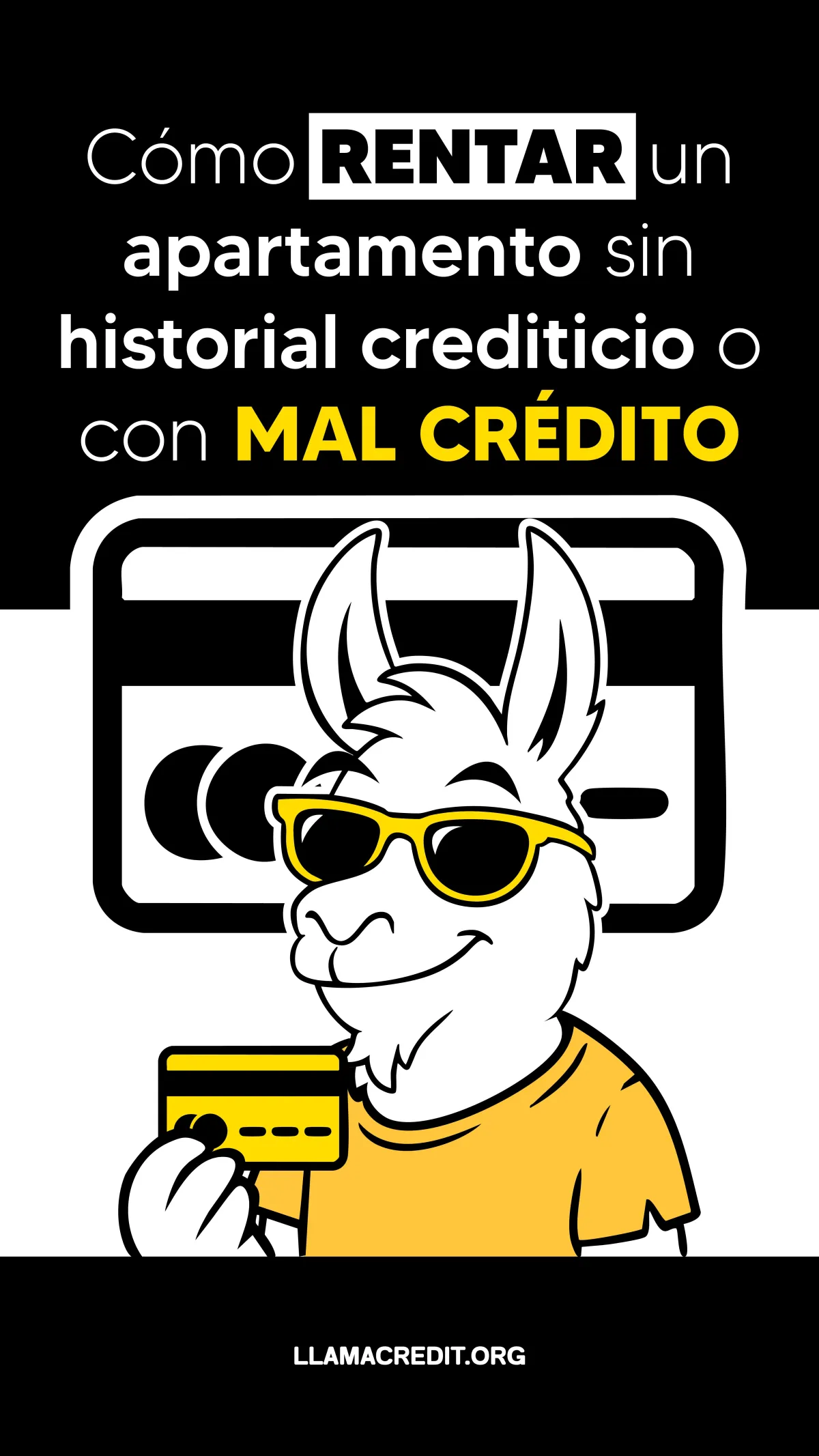 llama credit 16