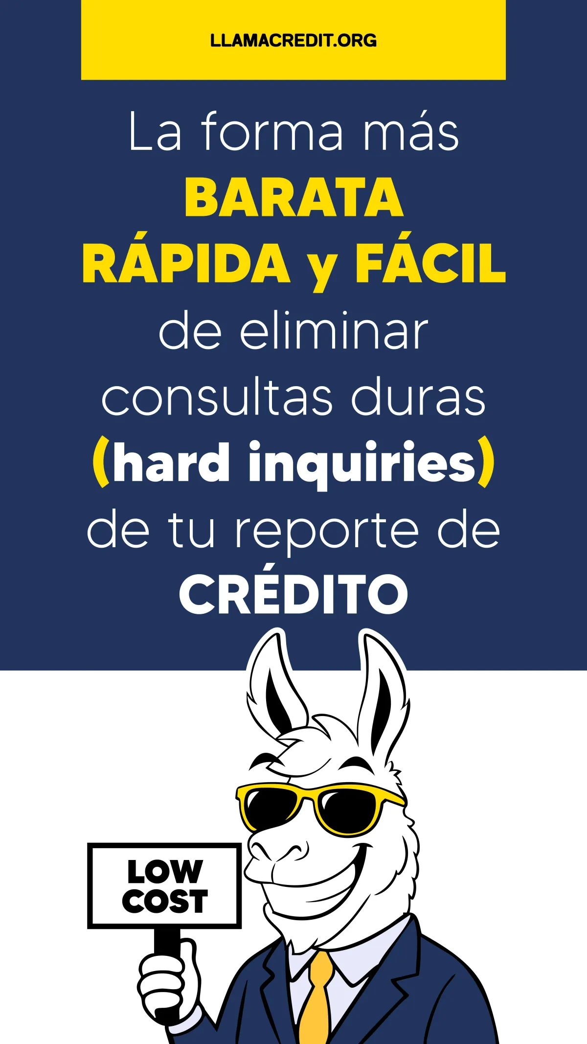 llama credit 05