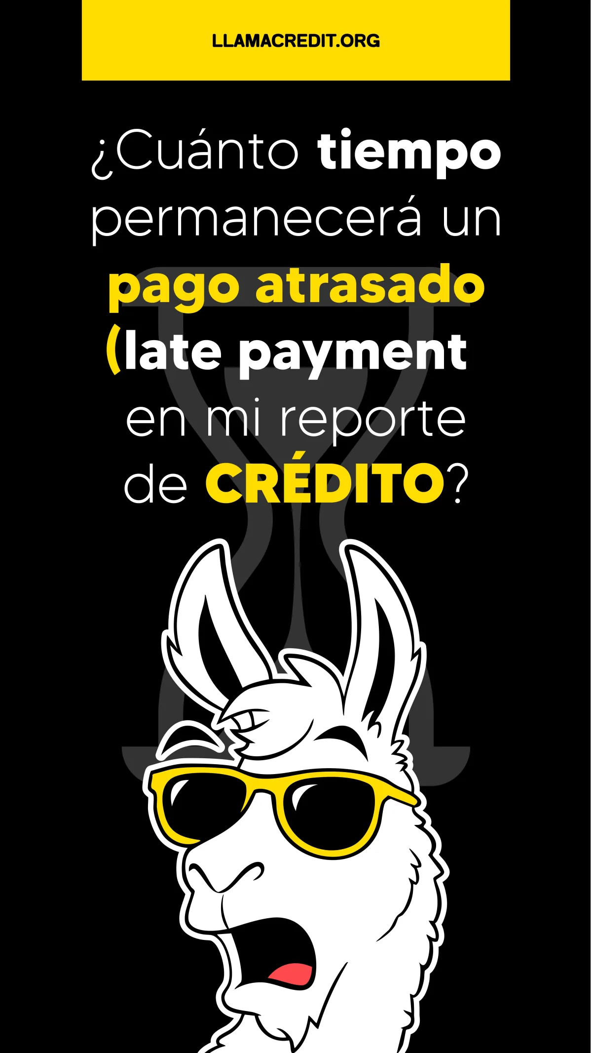 llama credit 24