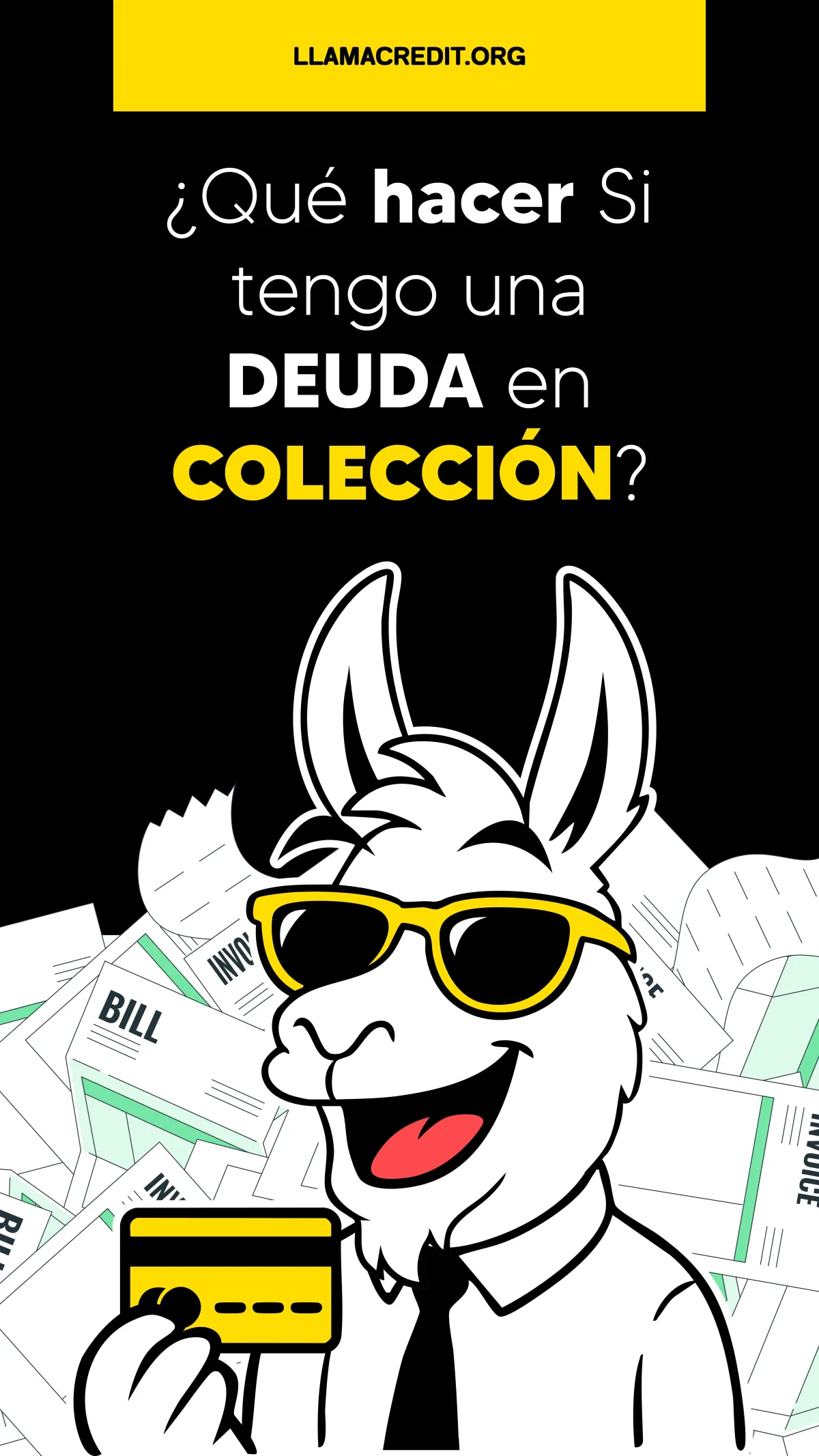 llama credit 26