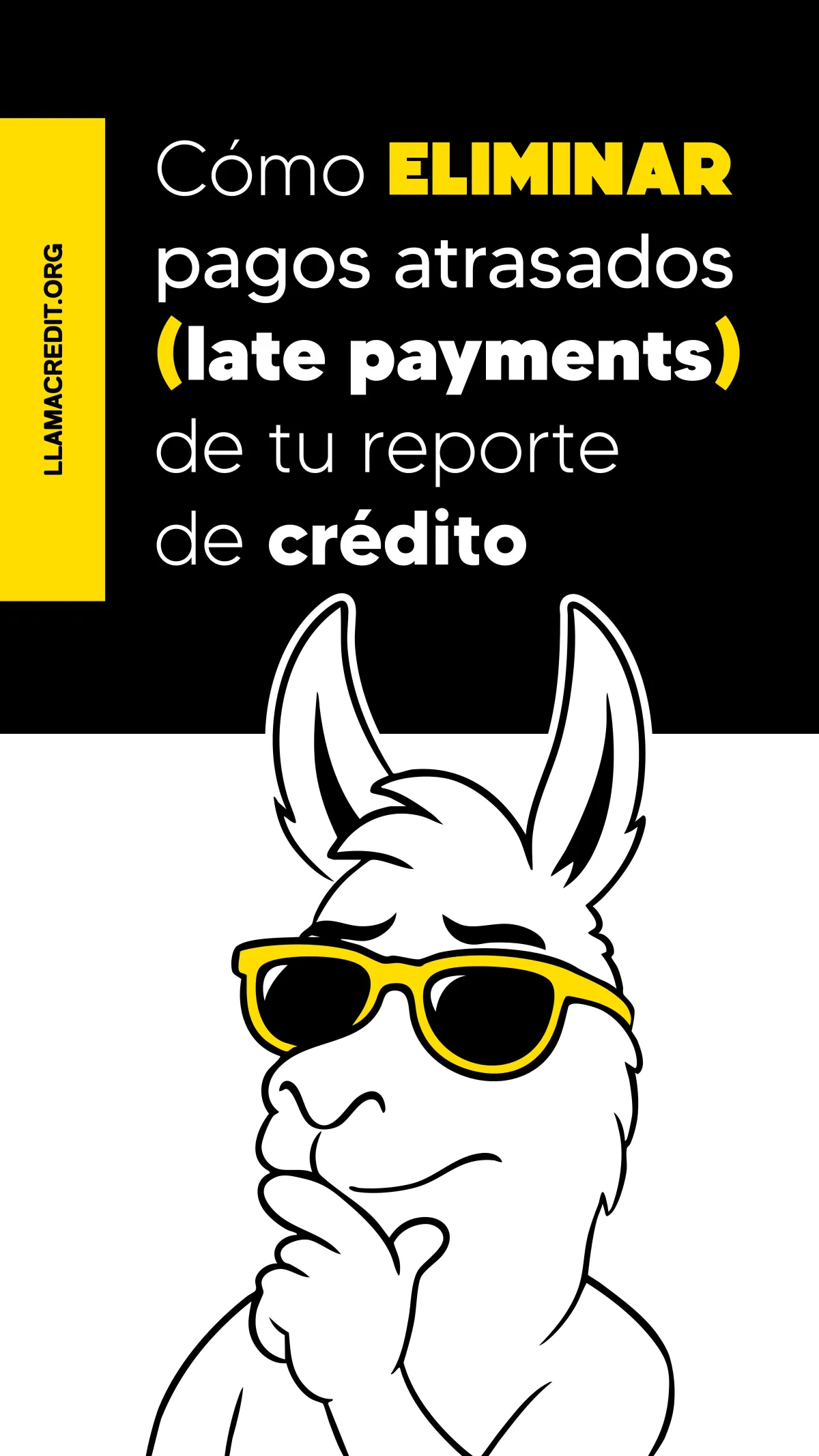 llama credit 02
