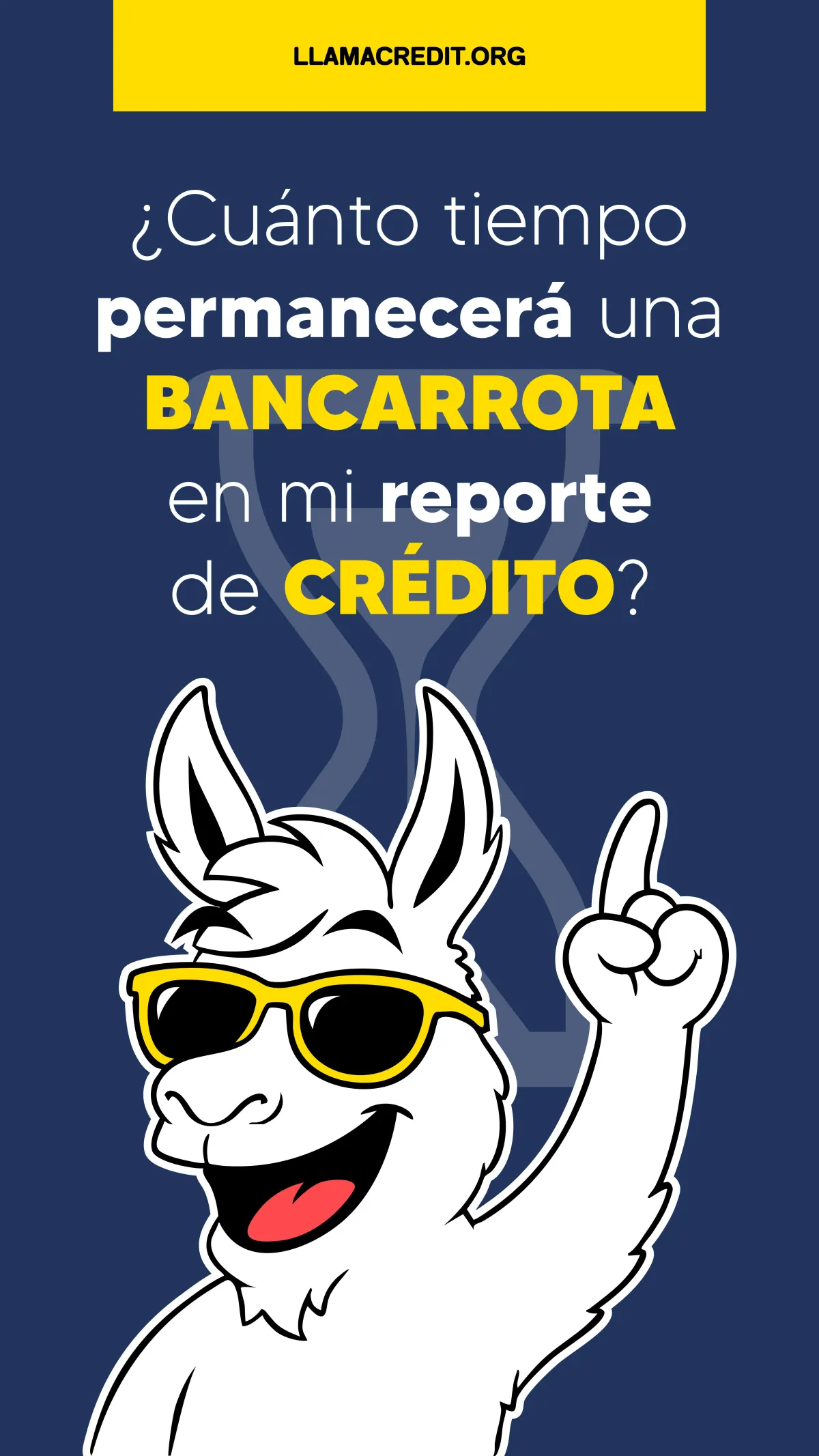 llama credit 23
