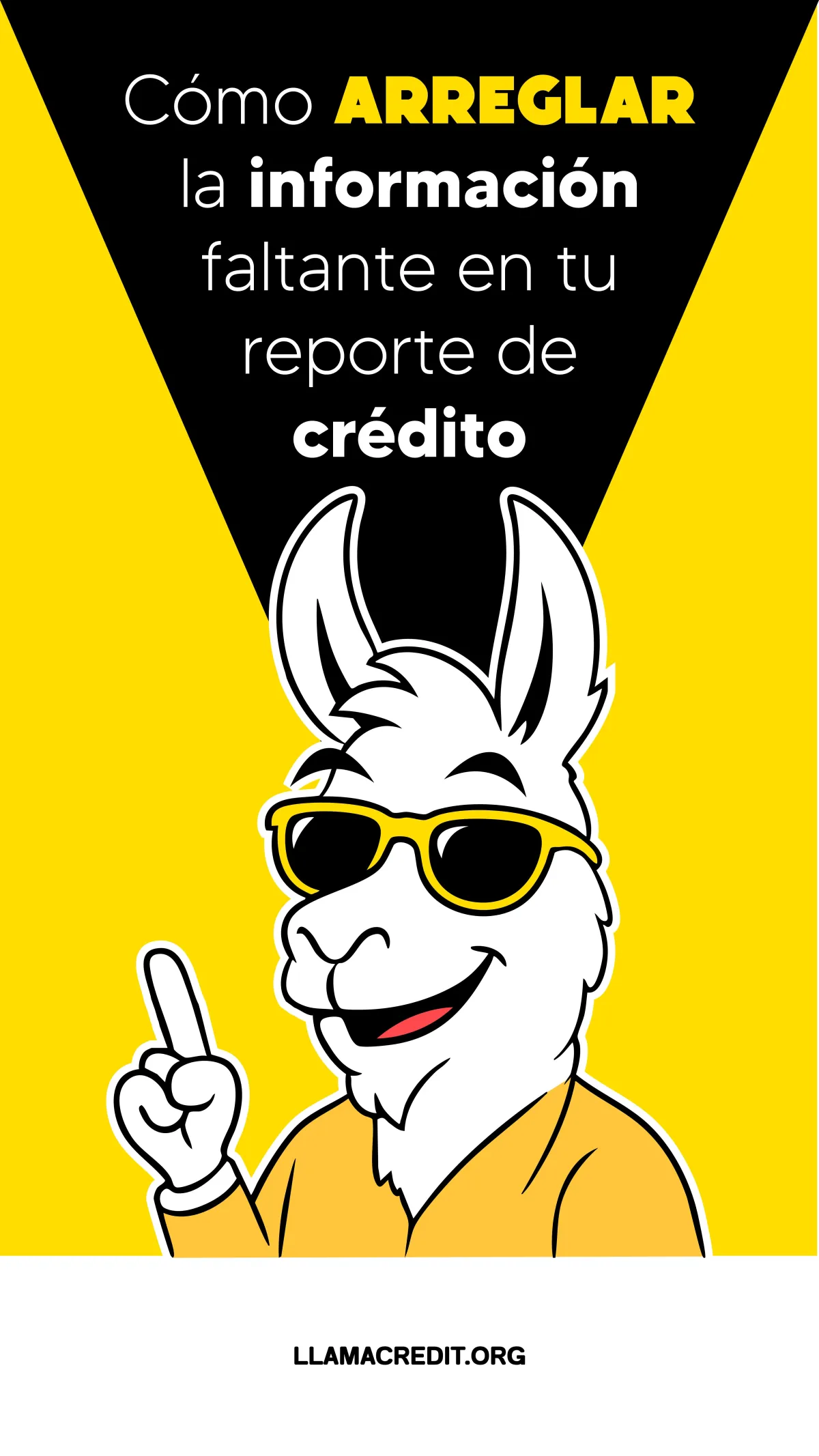 llama credit 03