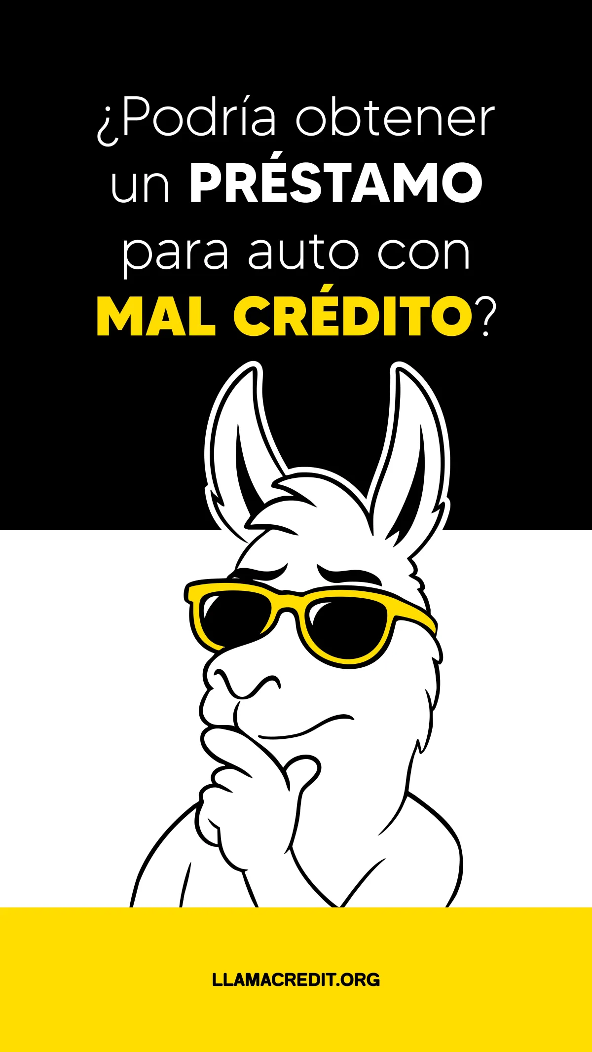 llama credit 22