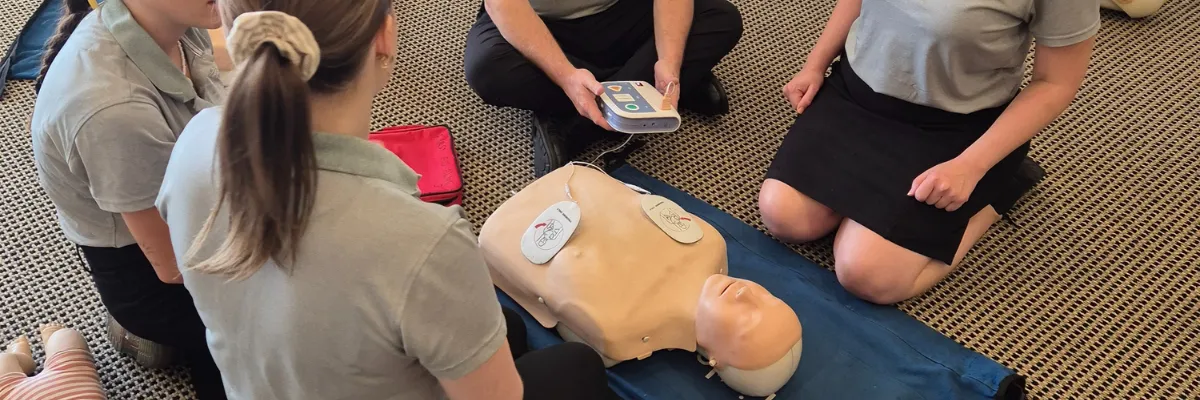 low voltage rescue safety course