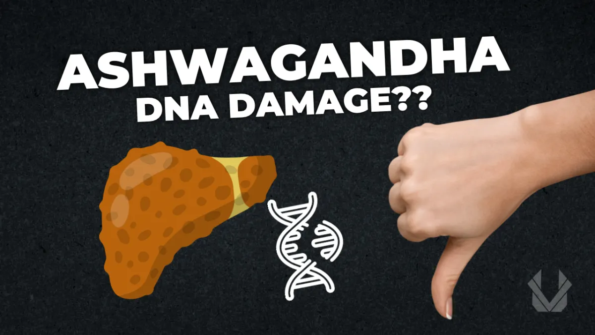 Ashwagandha dna damage