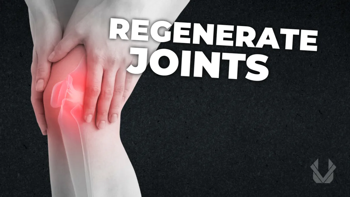 regenerate joints 