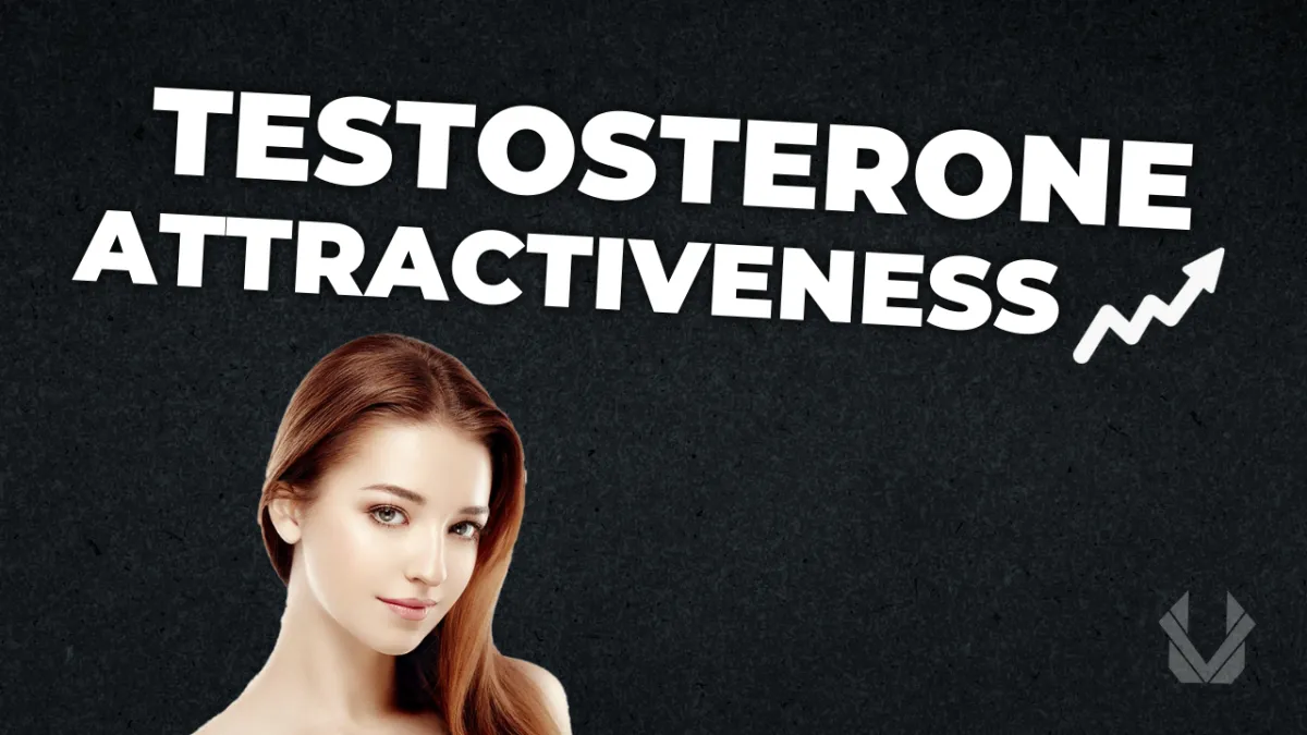 How Testosterone Makes Us More Attractive To Women