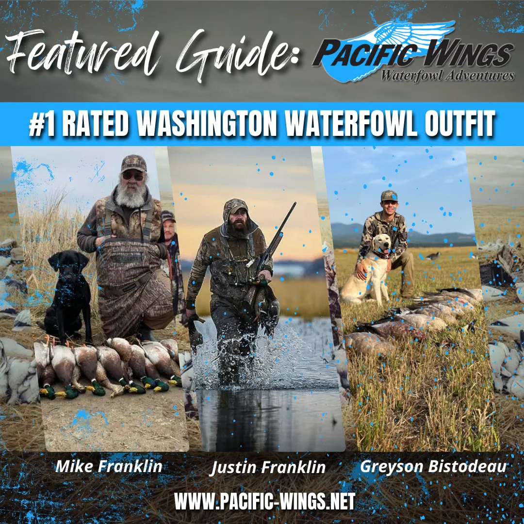 Washington Waterfowl Hunting