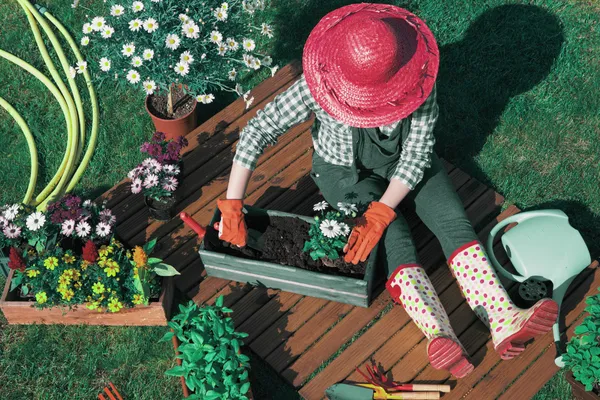  Prepare for a Summer Sale: 8 Proven Tips to Maximize Results