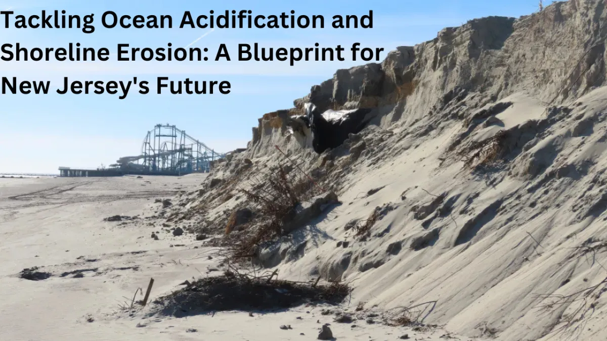 Tackling Ocean Acidification and Shoreline Erosion: A Blueprint for New Jersey's Future