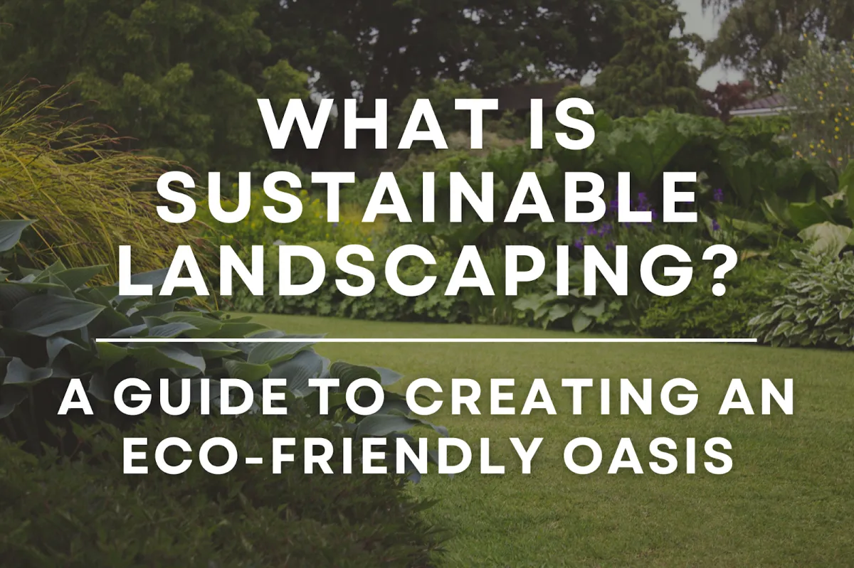 What Is Sustainable Landscaping? A Guide to Creating an Eco-Friendly Oasis