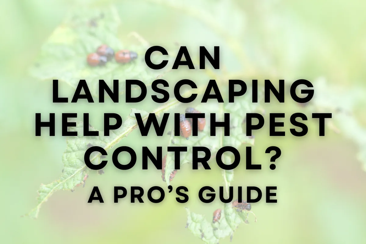Can Landscaping Help With Pest Control? A Pro's Guide