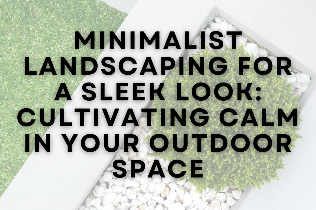 Minimalist Landscaping for a Sleek Look: Cultivating Calm in Your Outdoor Space